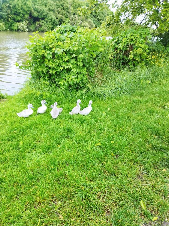 Apartman Na Jezeru Zagrzeb Zewnętrze zdjęcie