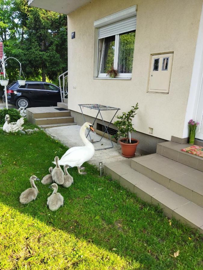 Apartman Na Jezeru Zagrzeb Zewnętrze zdjęcie